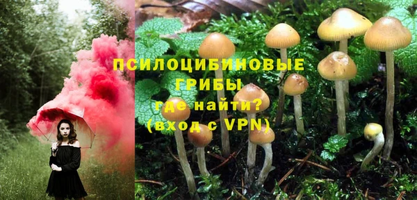ешки Заволжск