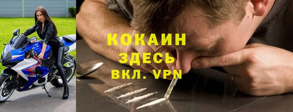 амф Заволжье